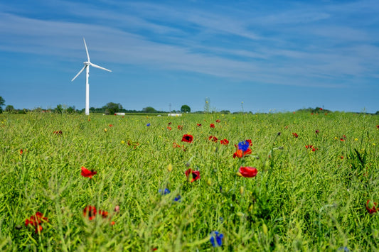 OSGI- Sustainable Agriculture